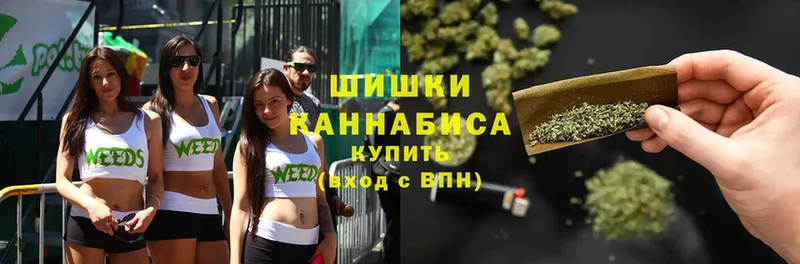 Бошки марихуана THC 21%  где можно купить наркотик  Новомосковск 